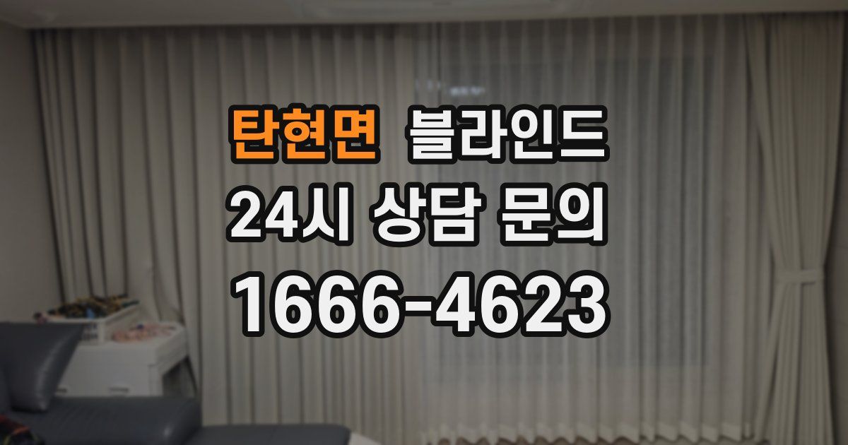탄현면 블라인드