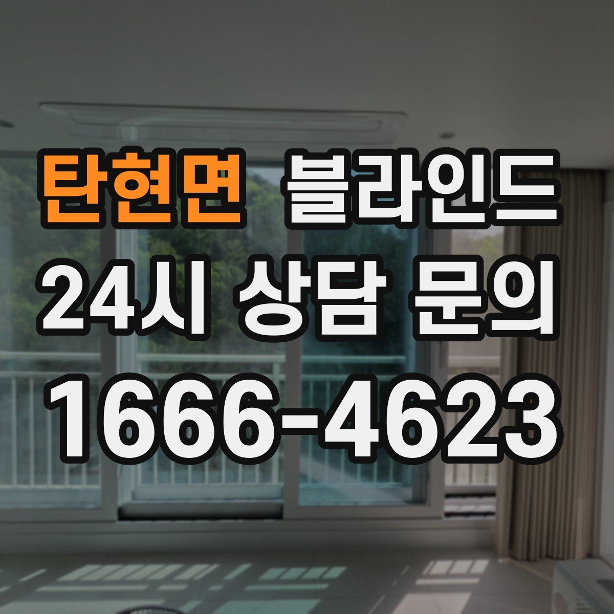 탄현면 블라인드