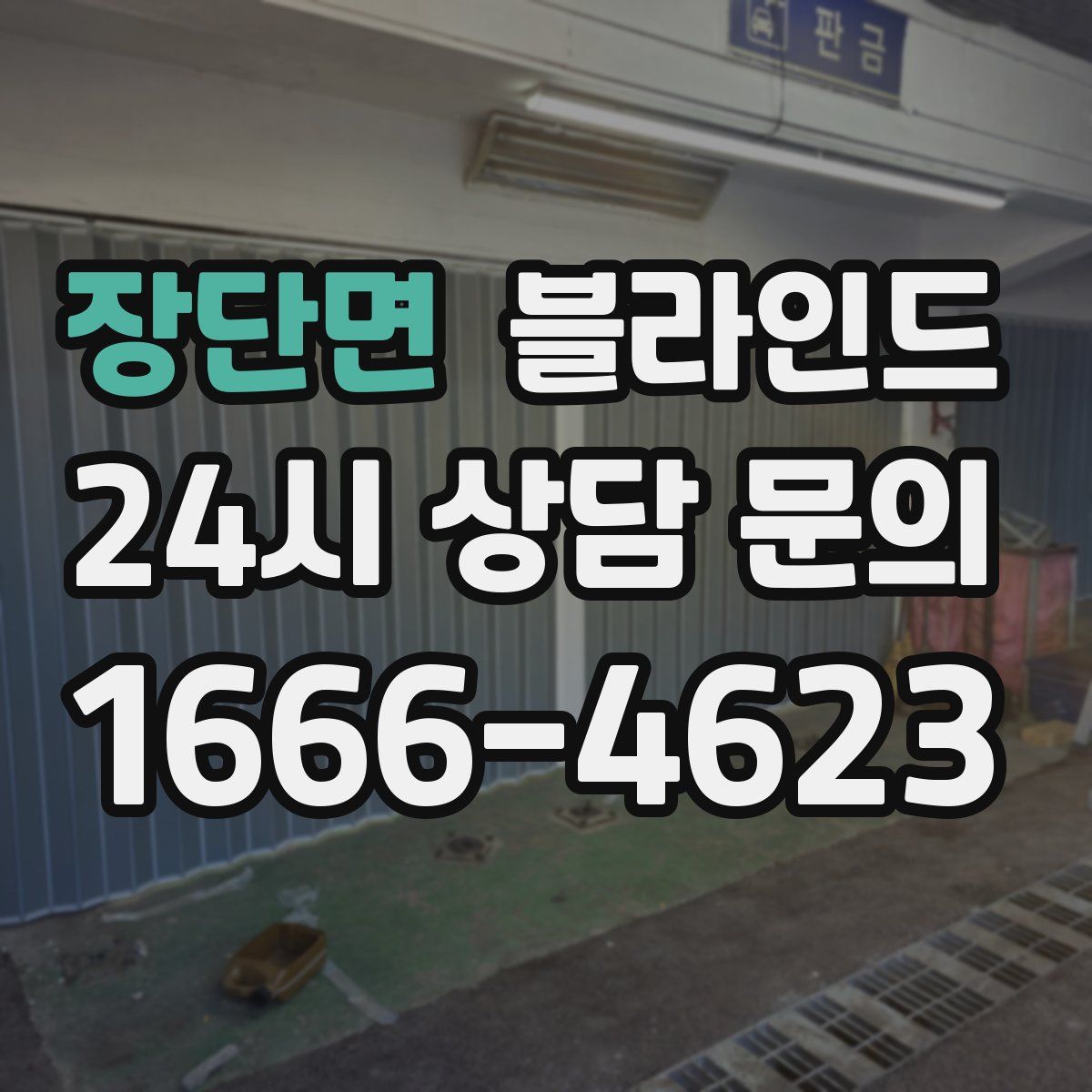 장단면 블라인드