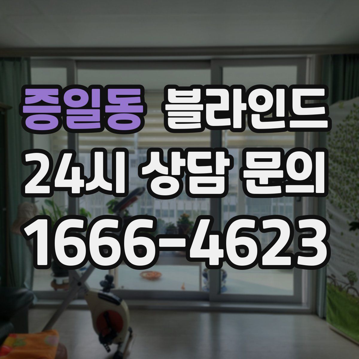 증일동 블라인드
