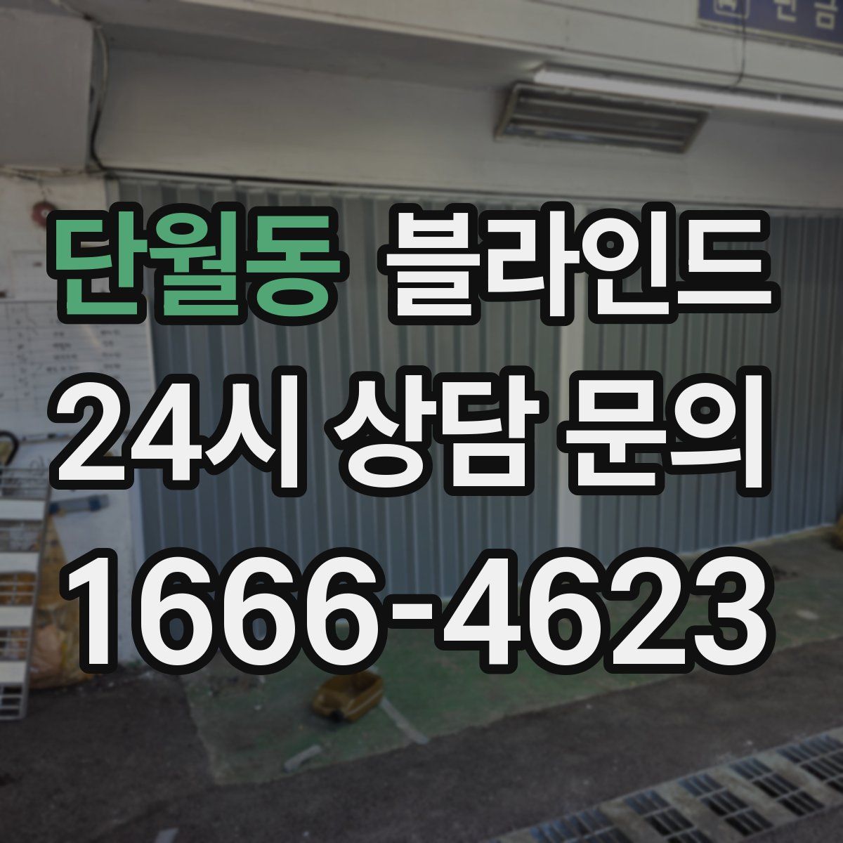 단월동 블라인드