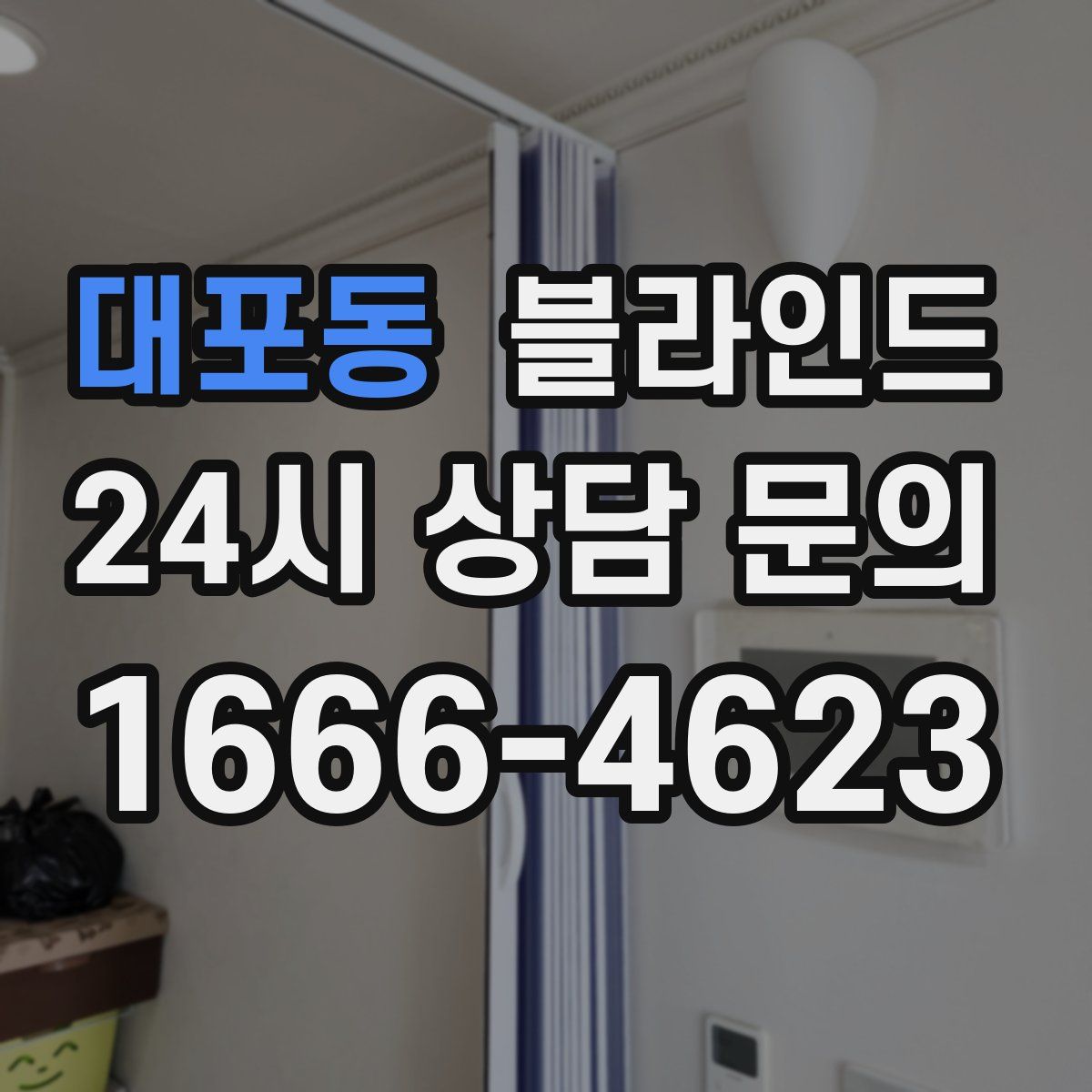 대포동 블라인드