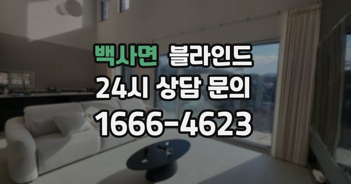 백사면 블라인드