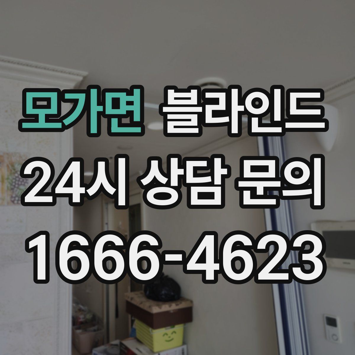 모가면 블라인드
