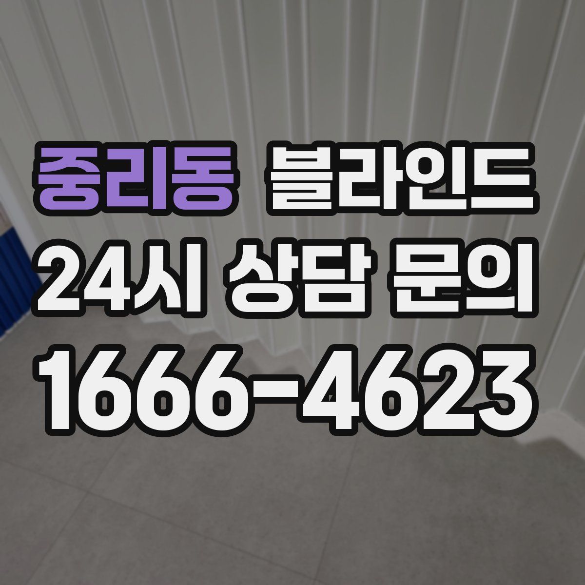 중리동 블라인드
