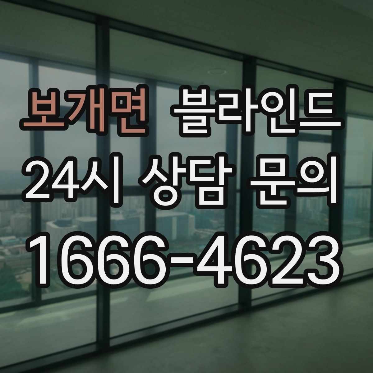 보개면 블라인드