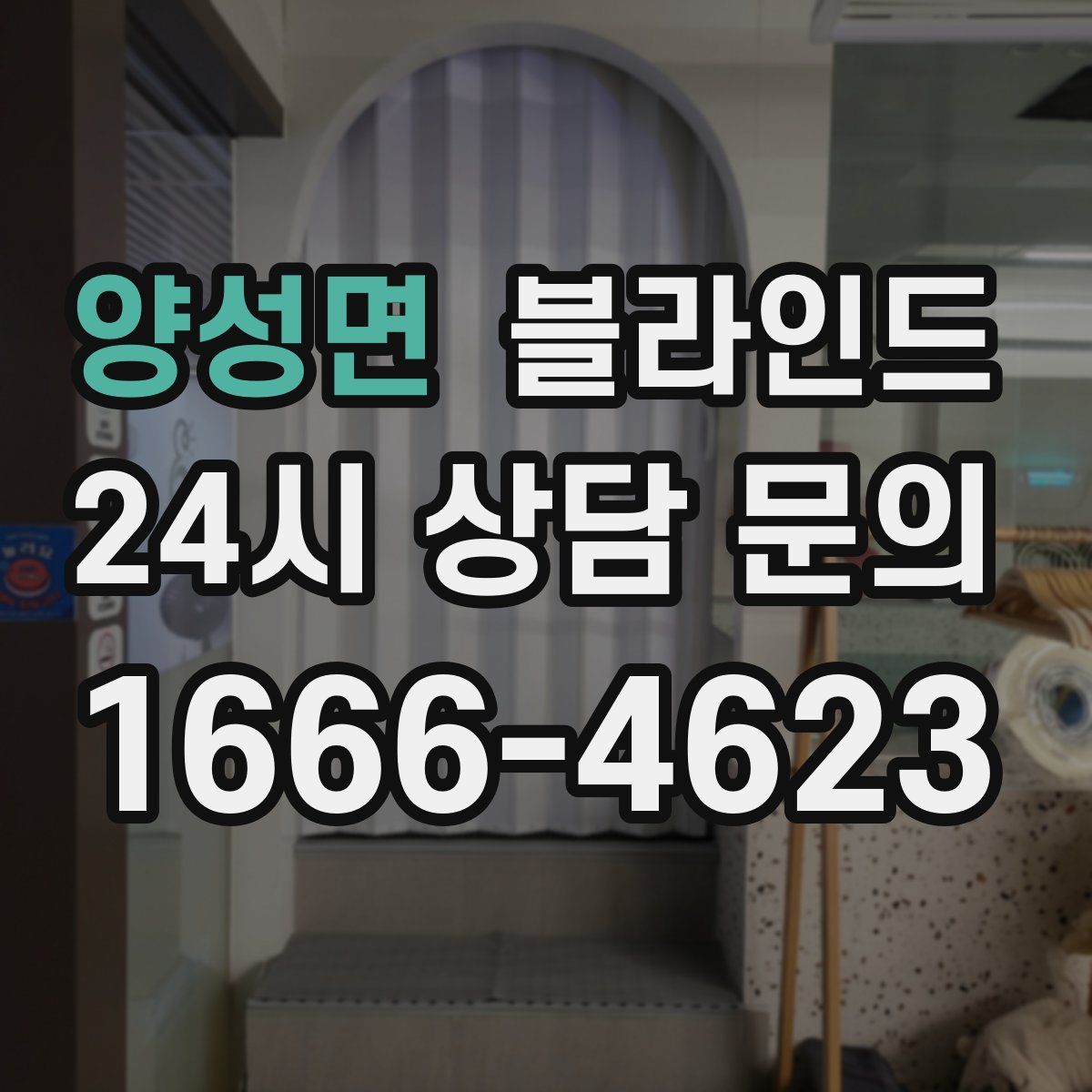 양성면 블라인드