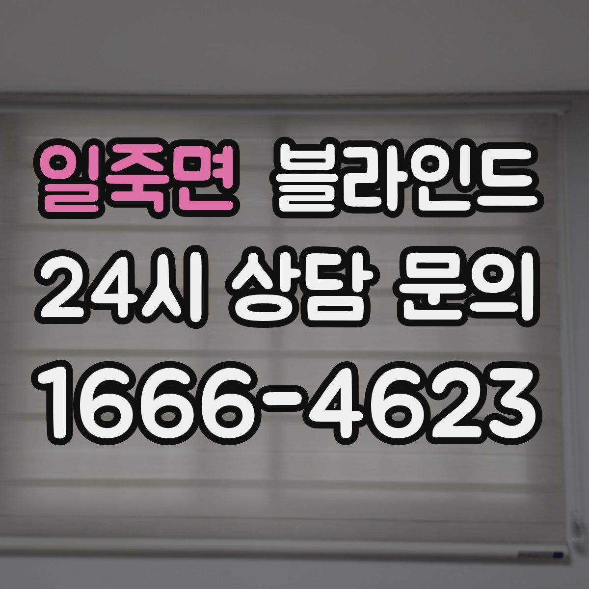 일죽면 블라인드