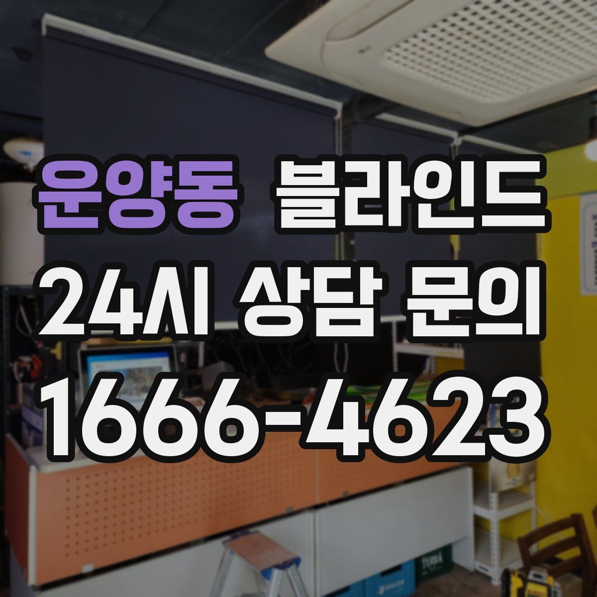 운양동 블라인드