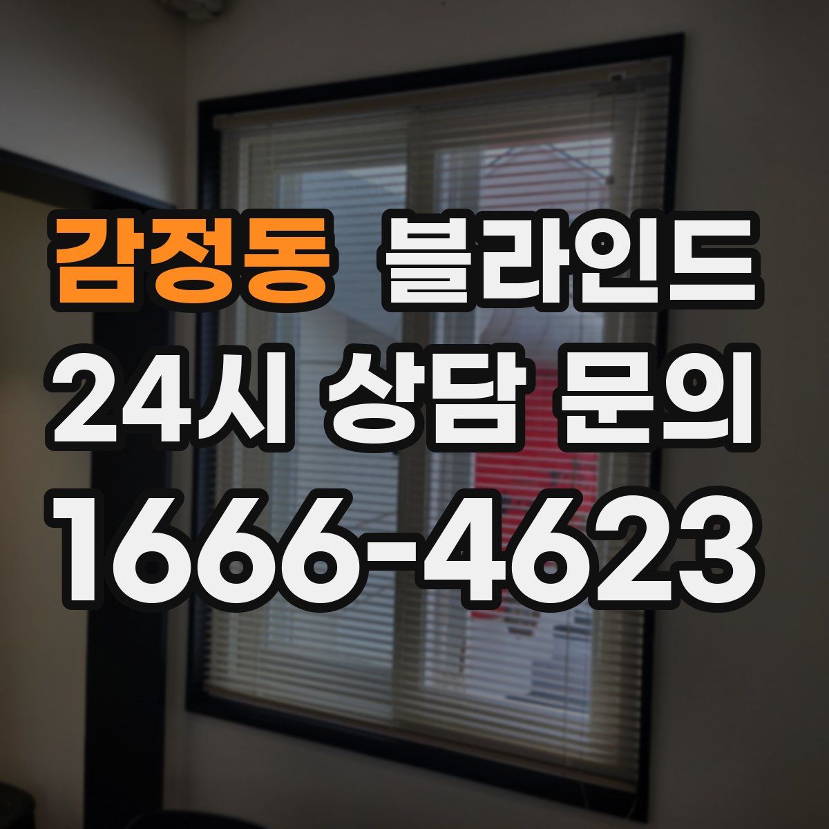 감정동 블라인드