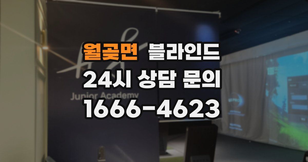월곶면 블라인드