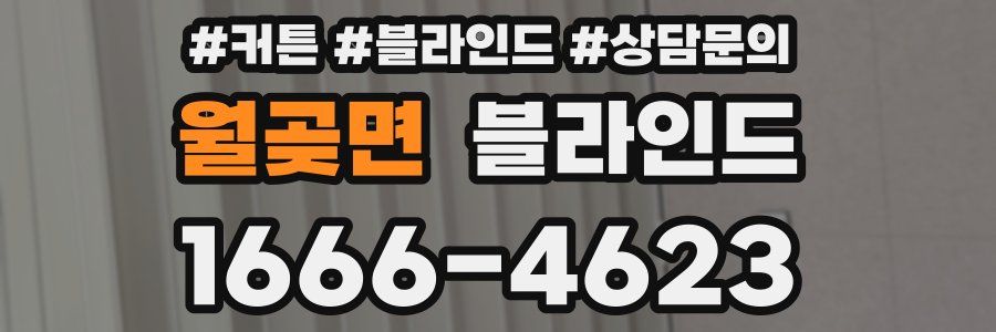 월곶면 블라인드