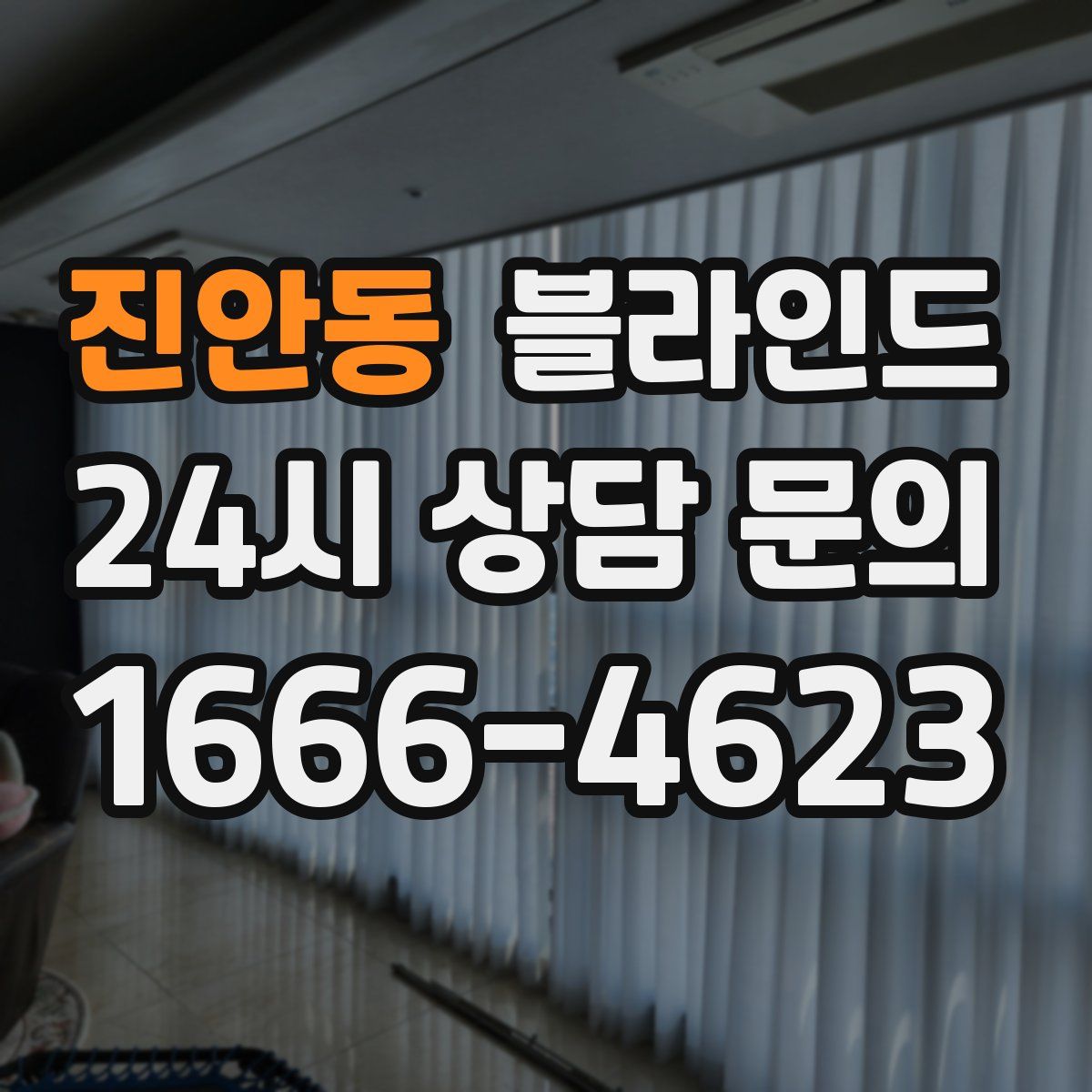 진안동 블라인드