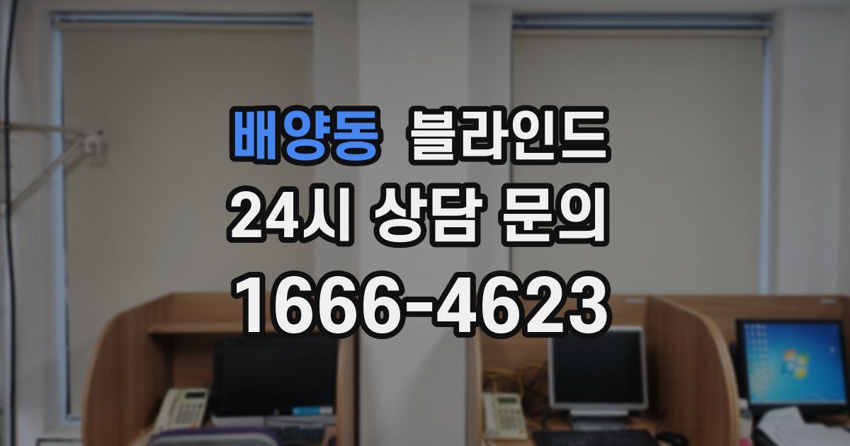배양동 블라인드