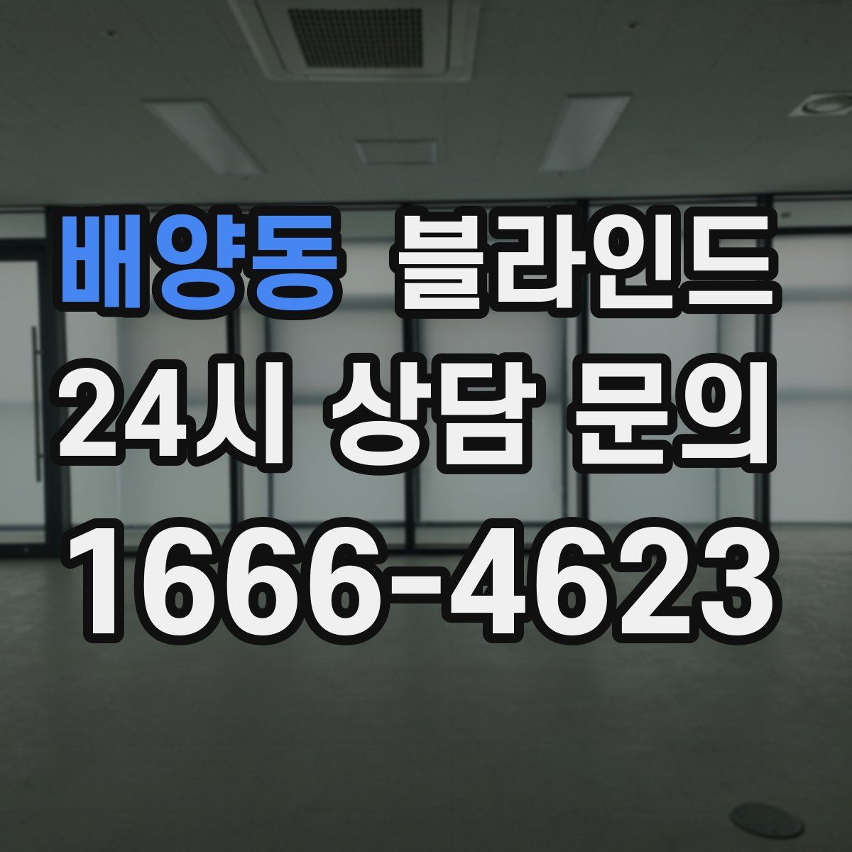 배양동 블라인드