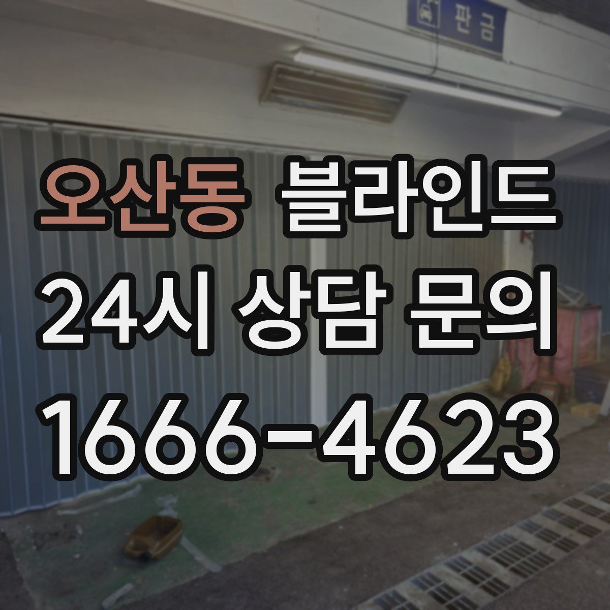 오산동 블라인드