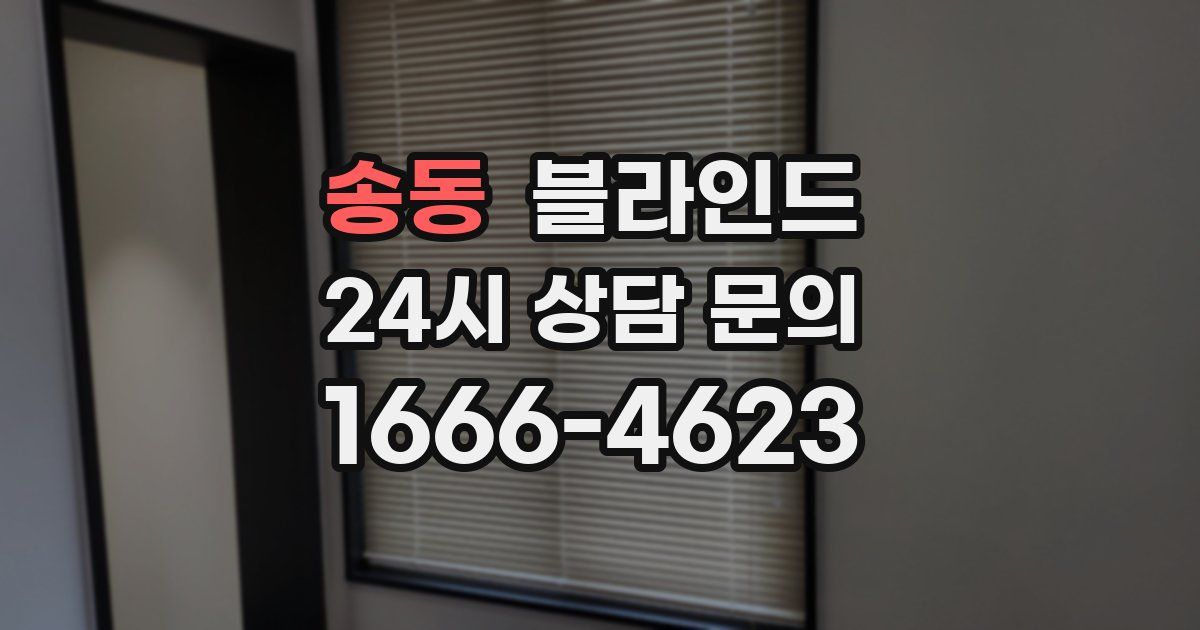 송동 블라인드