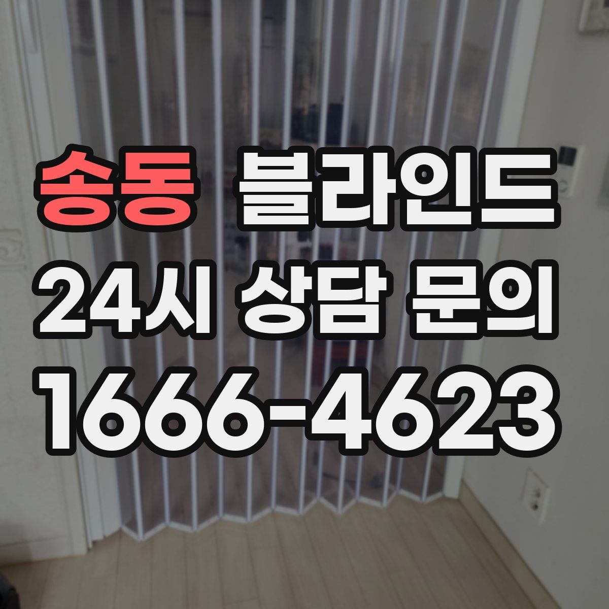 송동 블라인드