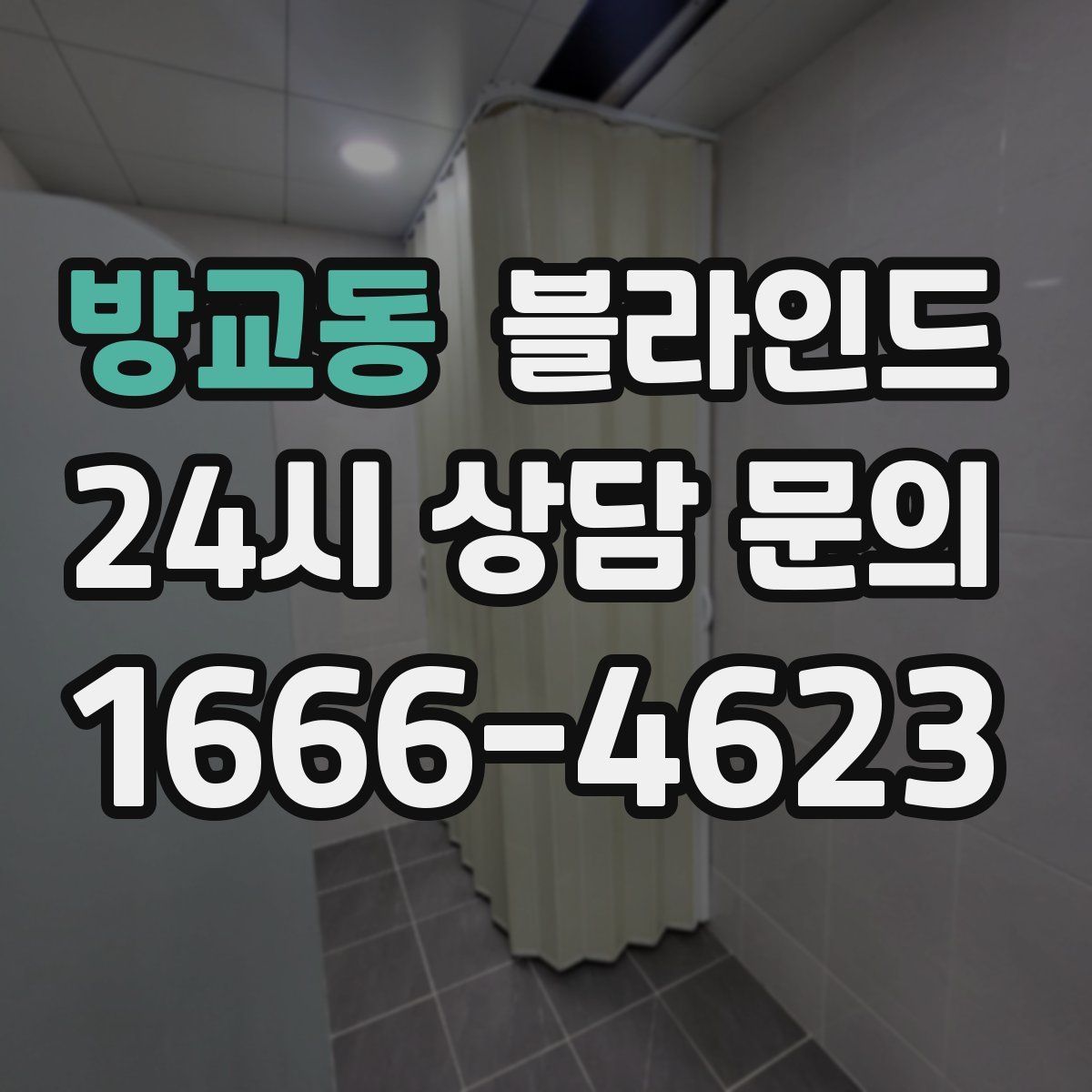 방교동 블라인드