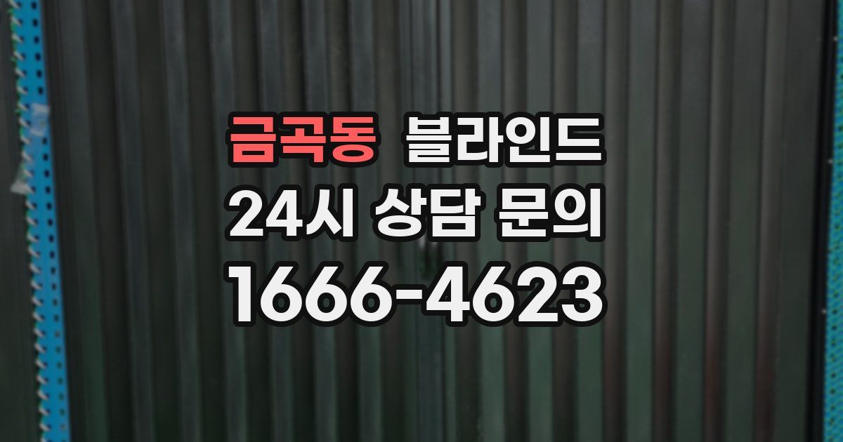 금곡동 블라인드