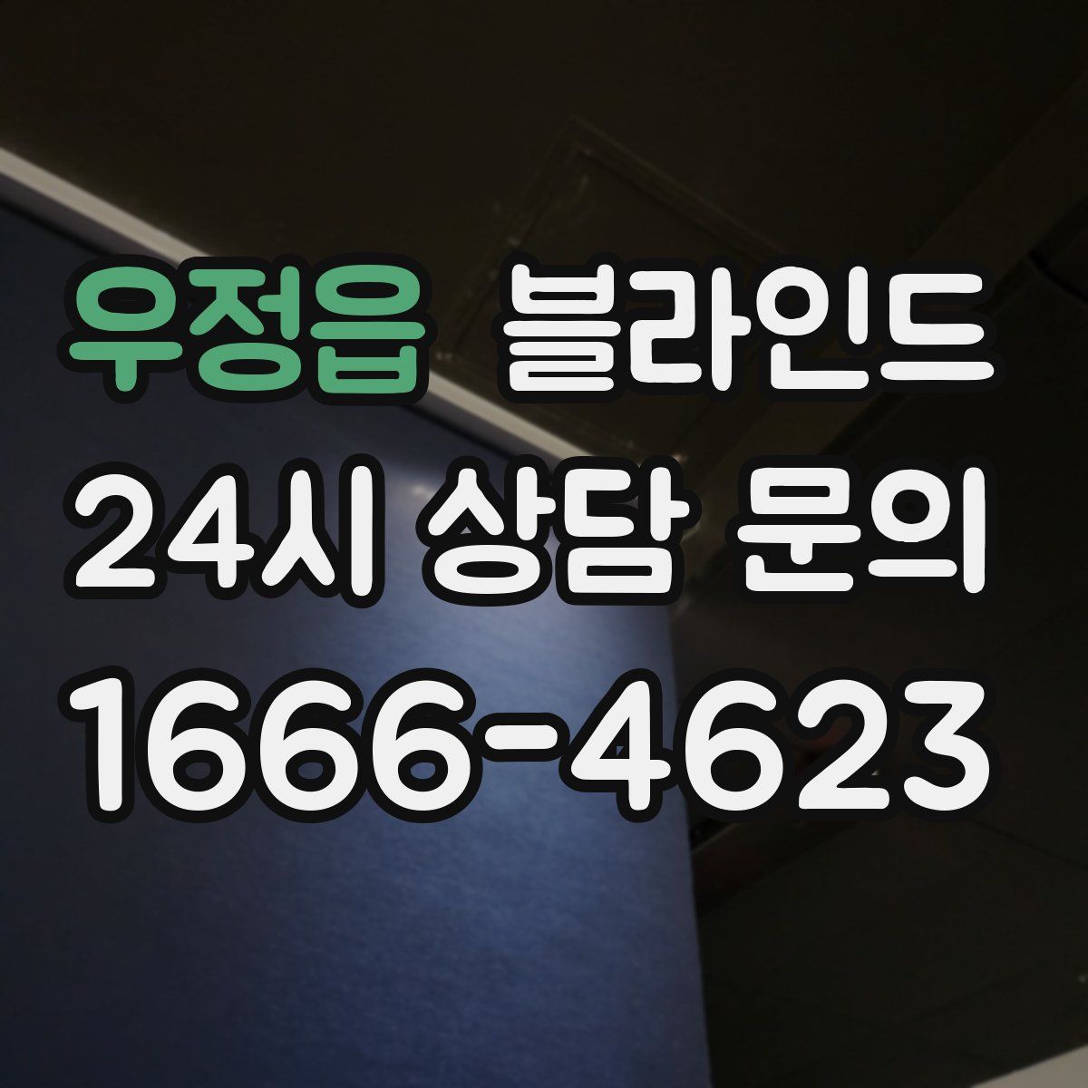 우정읍 블라인드