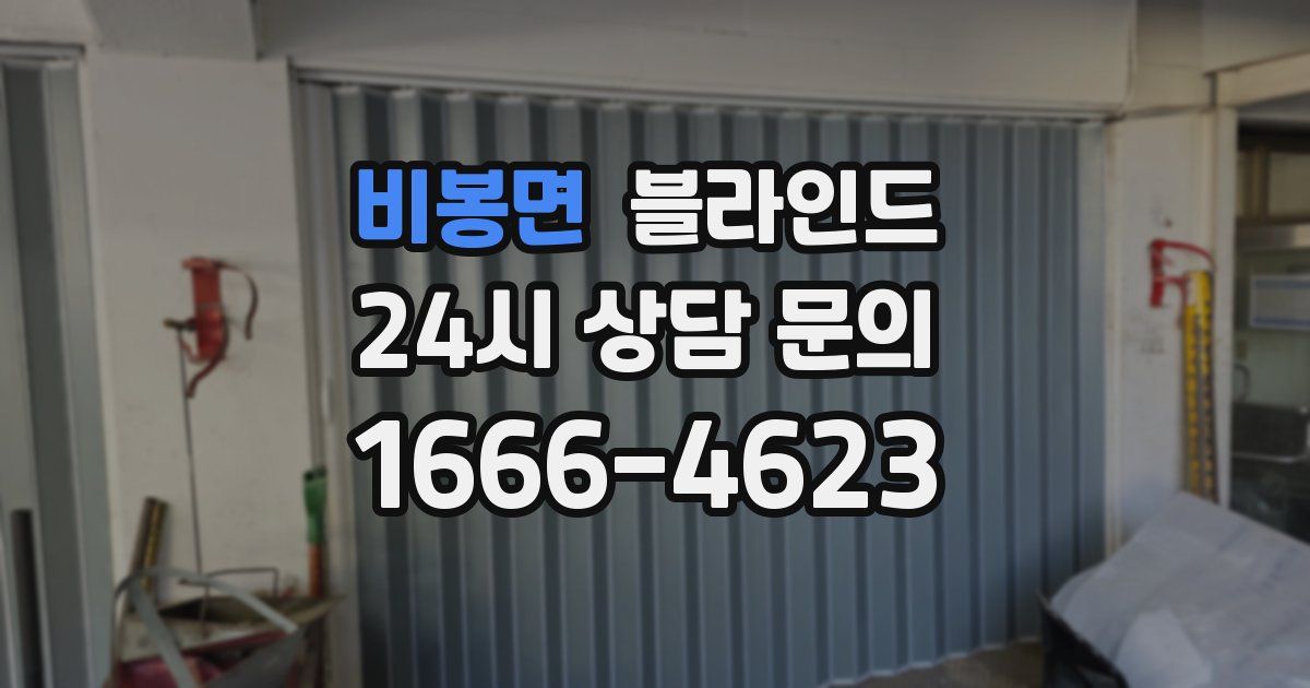 비봉면 블라인드