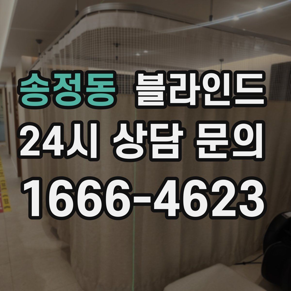 송정동 블라인드 종류별 특징과 활용 방법