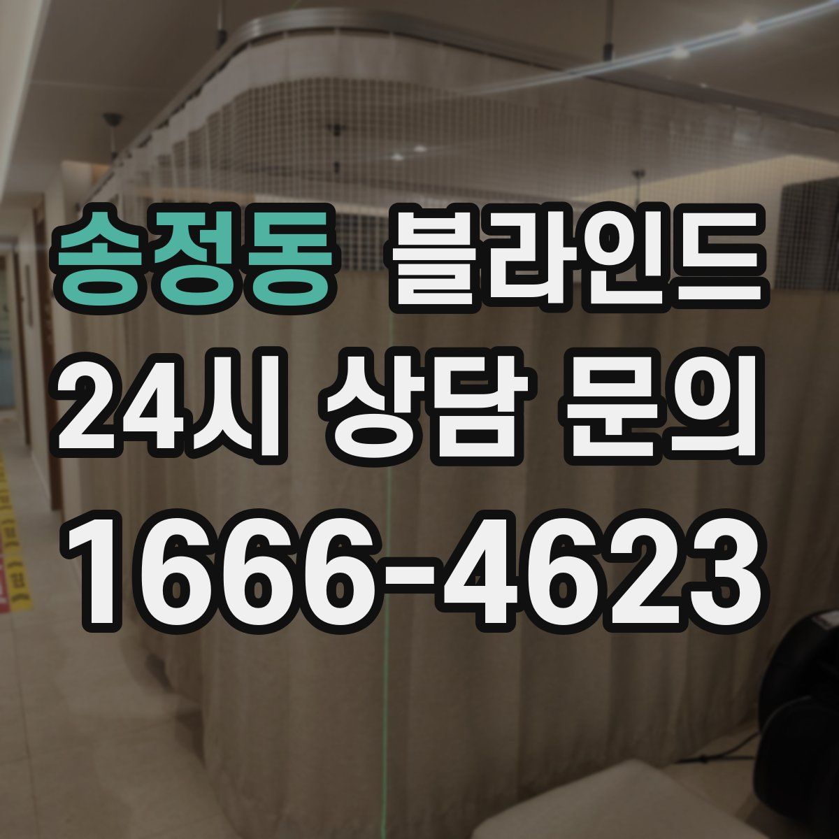송정동 블라인드