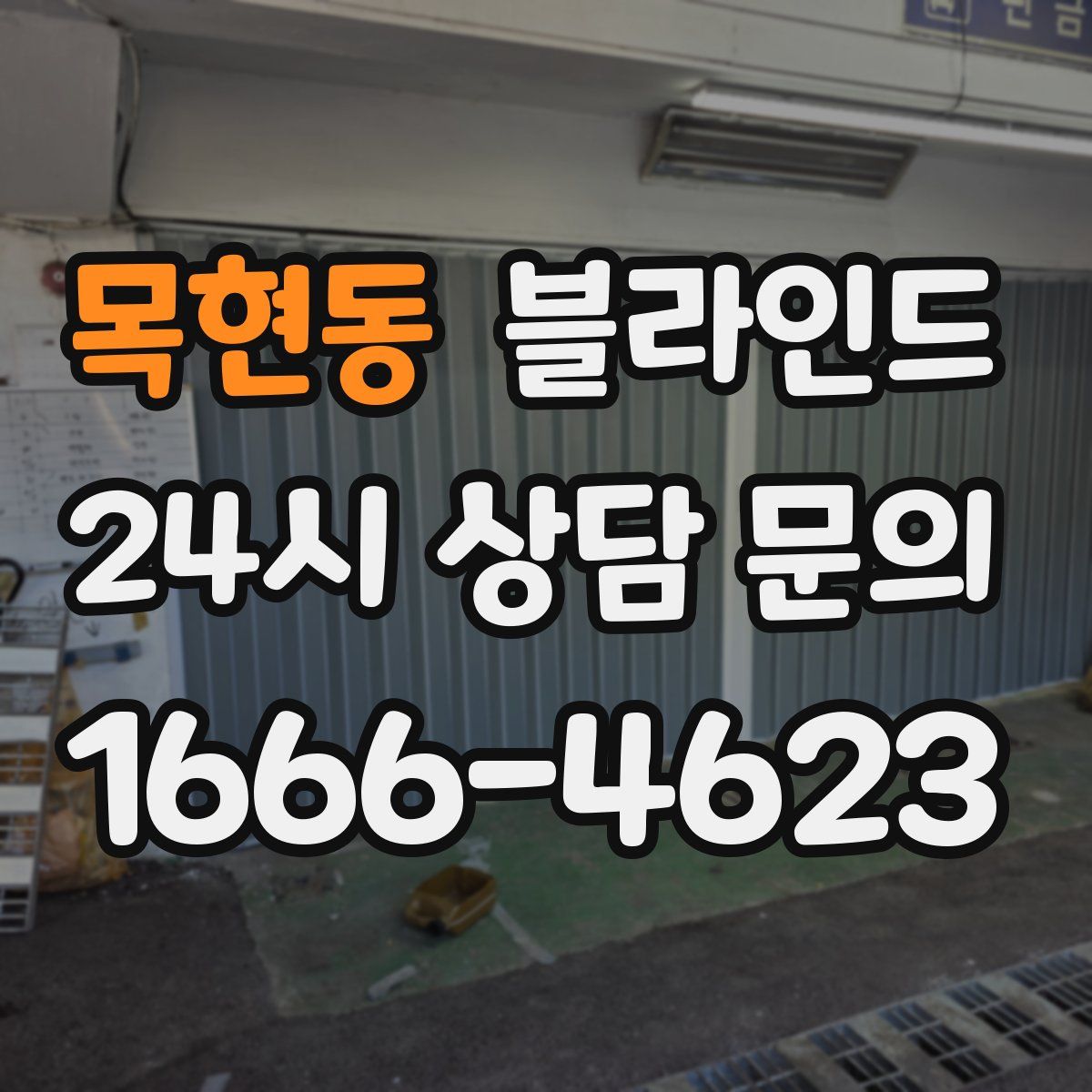 목현동 블라인드