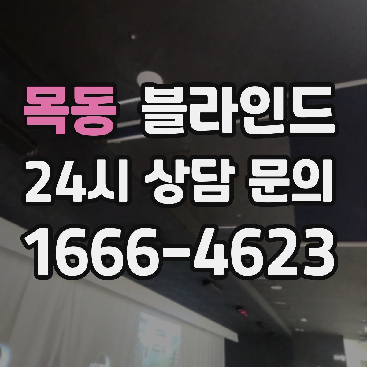 목동 블라인드