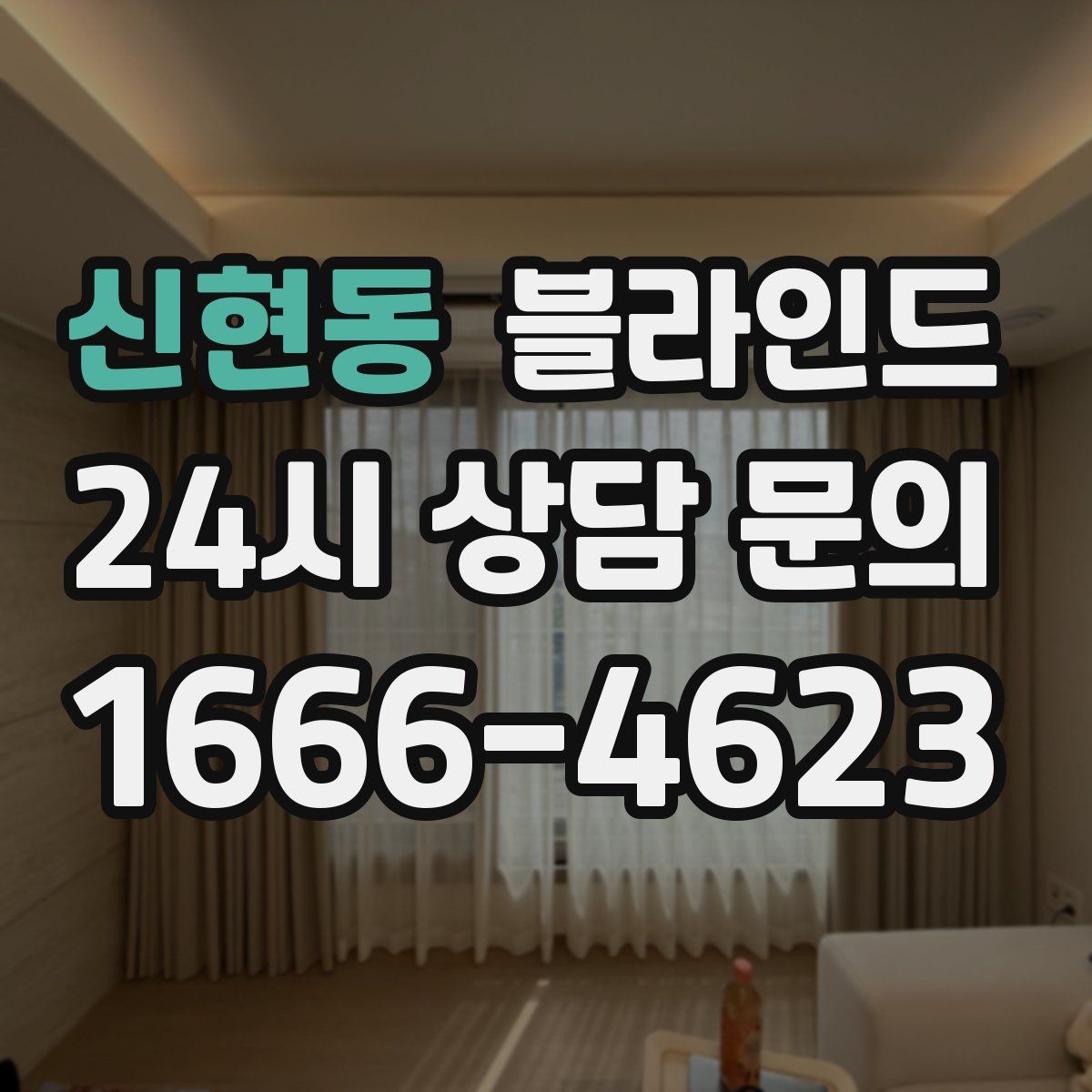 신현동 블라인드