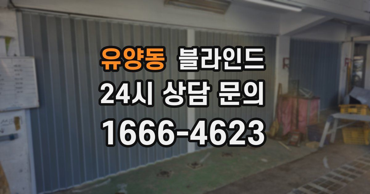 유양동 블라인드