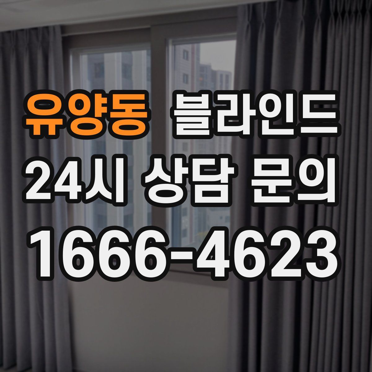 유양동 블라인드