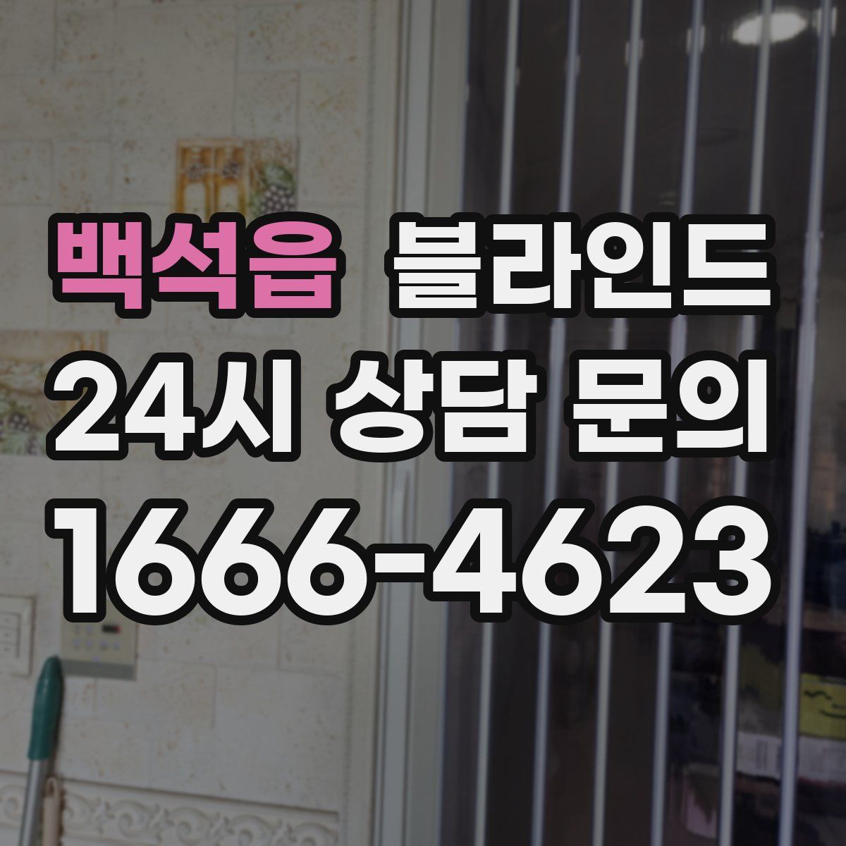 백석읍 블라인드