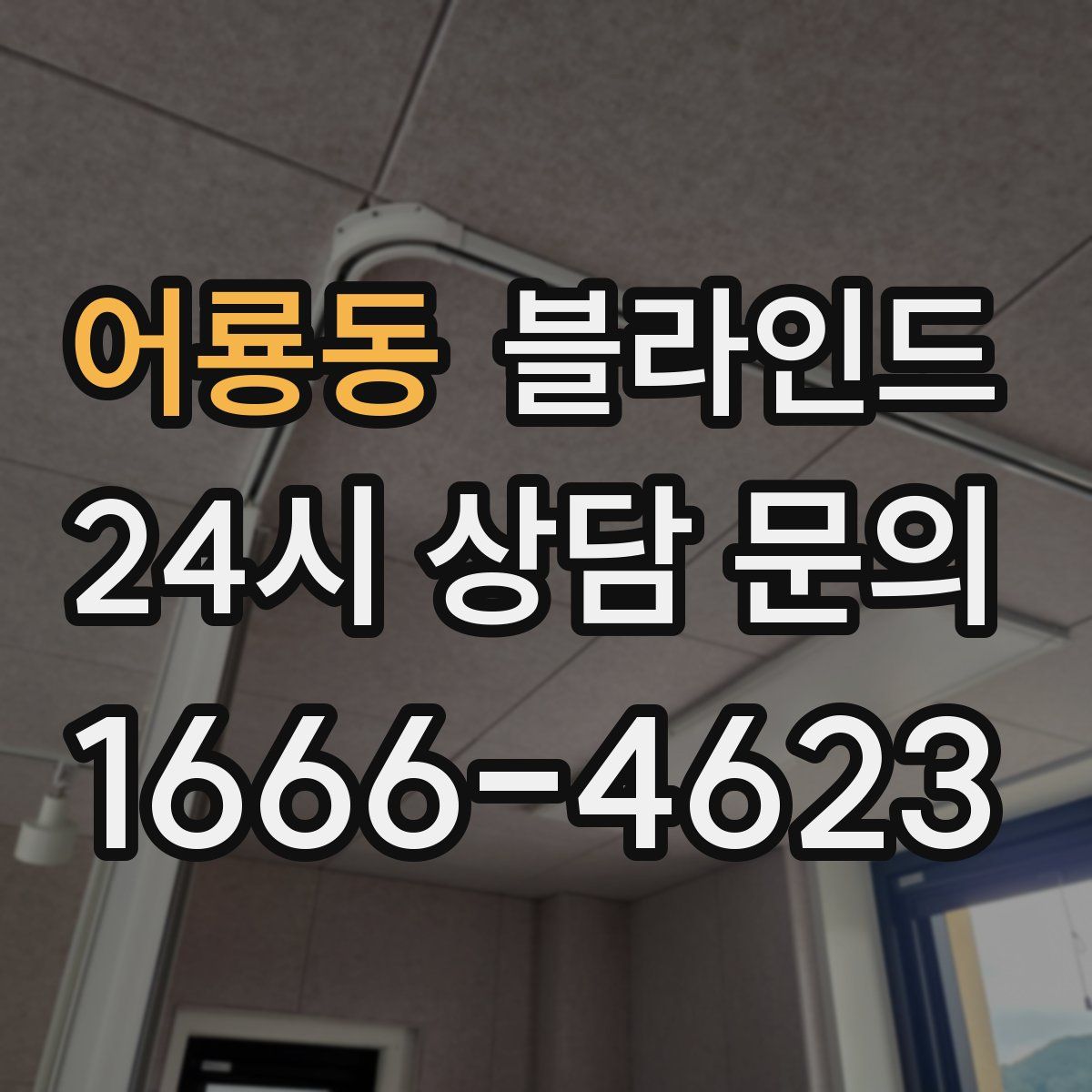 어룡동 블라인드