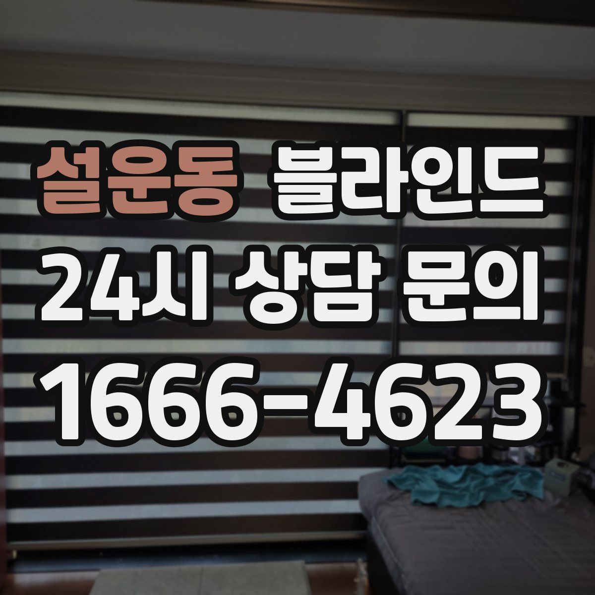 설운동 블라인드