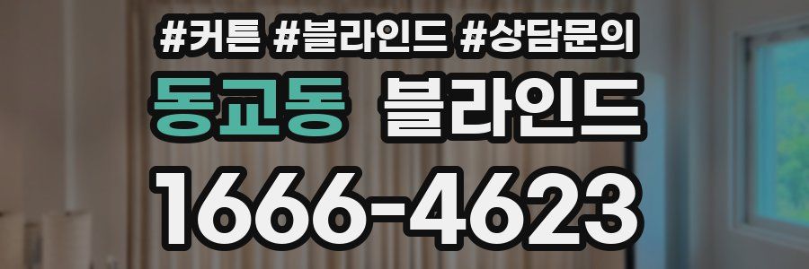 동교동 블라인드