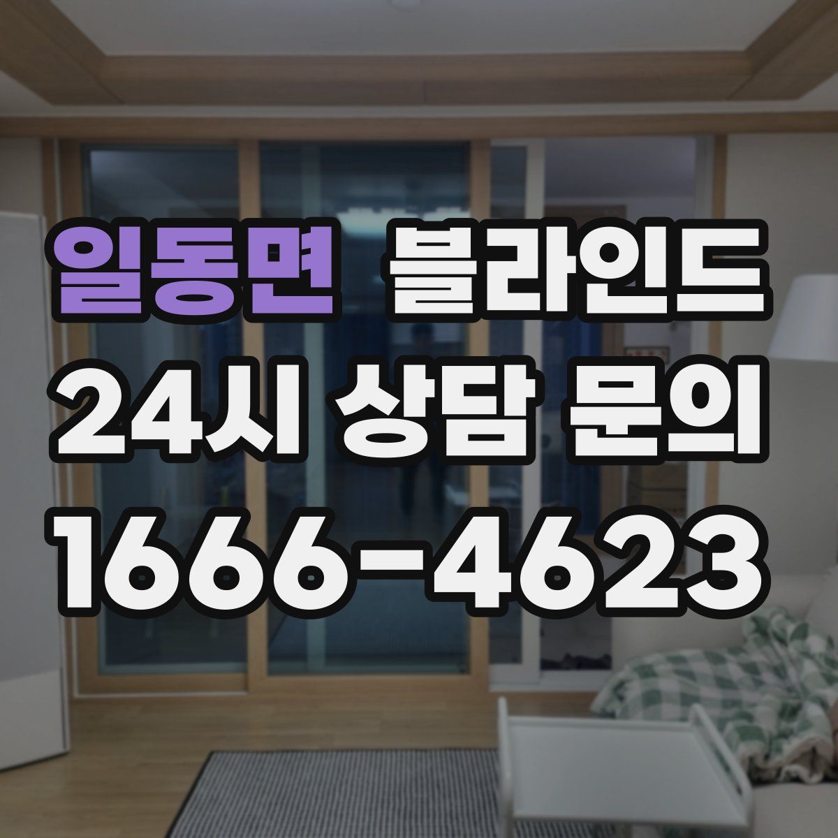 일동면 블라인드