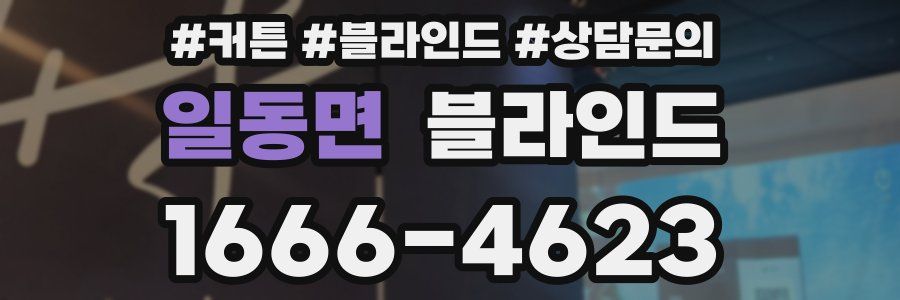 일동면 블라인드