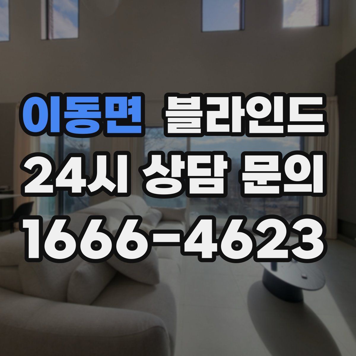 이동면 블라인드