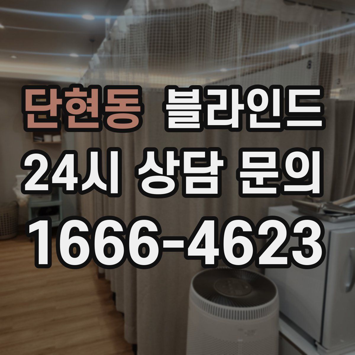 단현동 블라인드