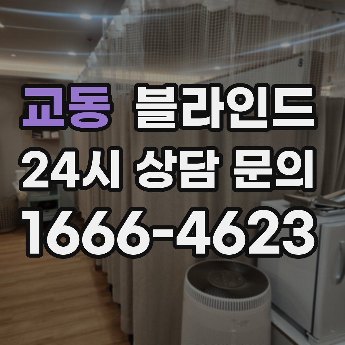 교동 블라인드