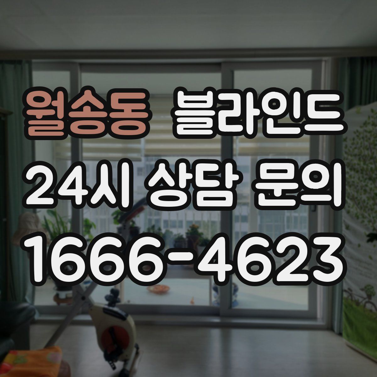 월송동 블라인드