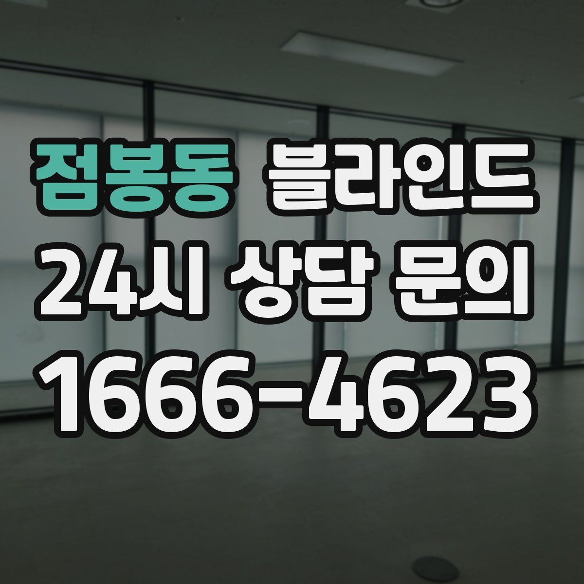 점봉동 블라인드