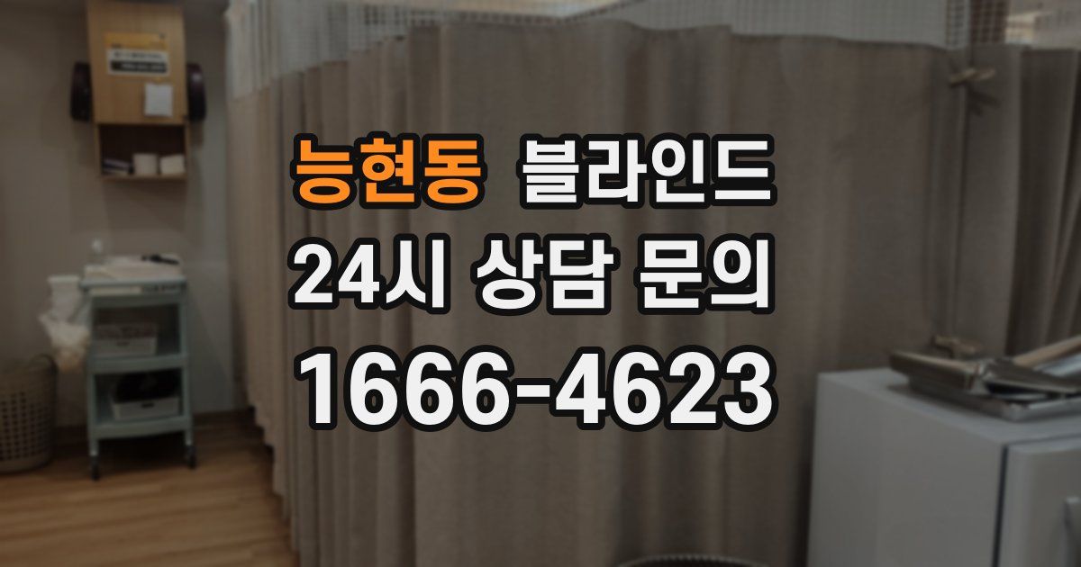 능현동 블라인드