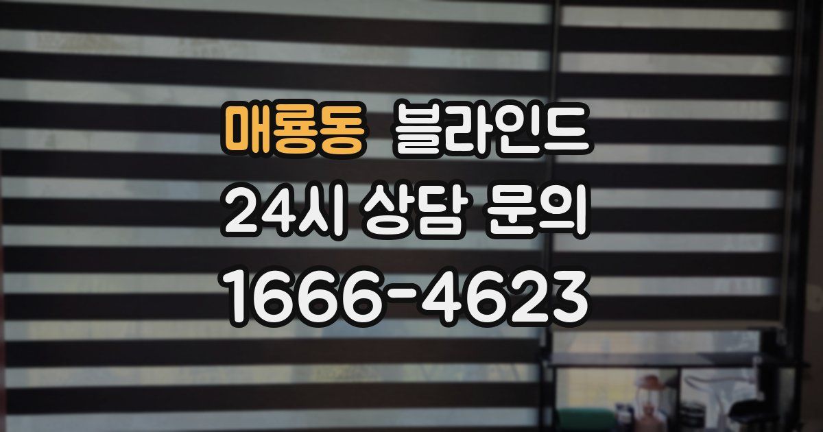 매룡동 블라인드