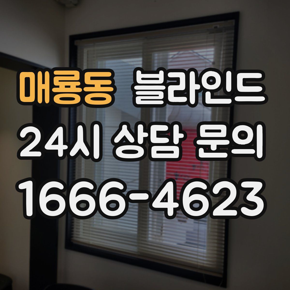 매룡동 블라인드