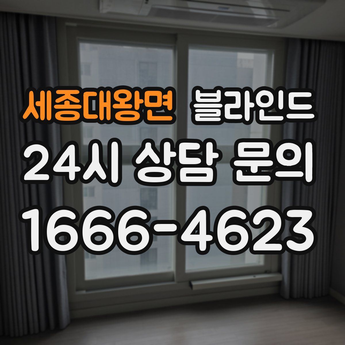 세종대왕면 블라인드