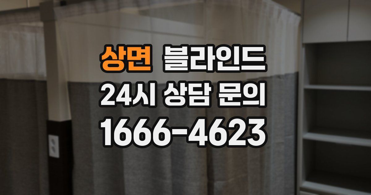 상면 블라인드
