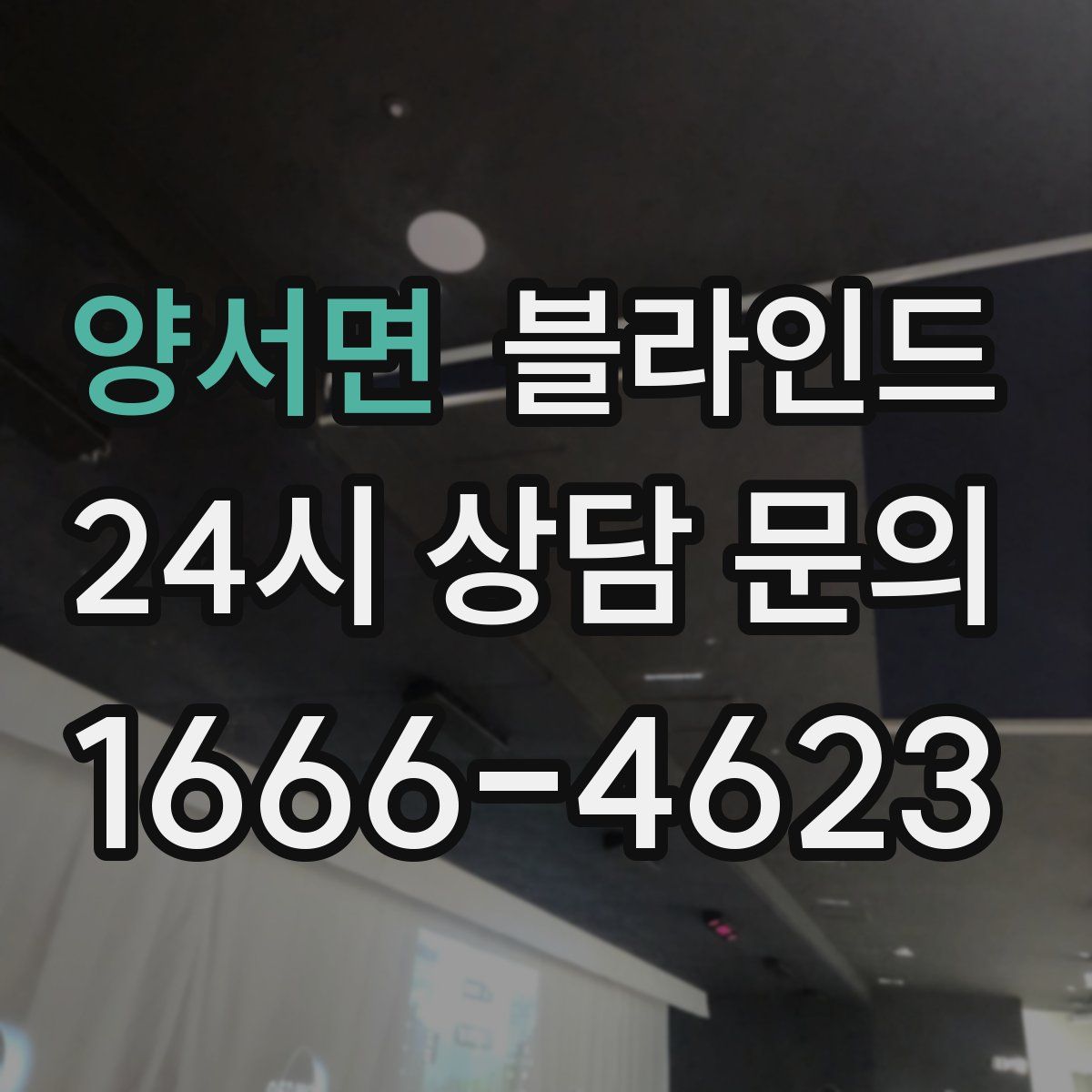 양서면 블라인드
